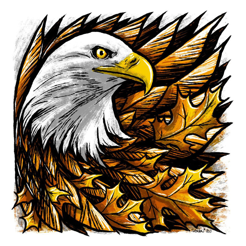 Feathers