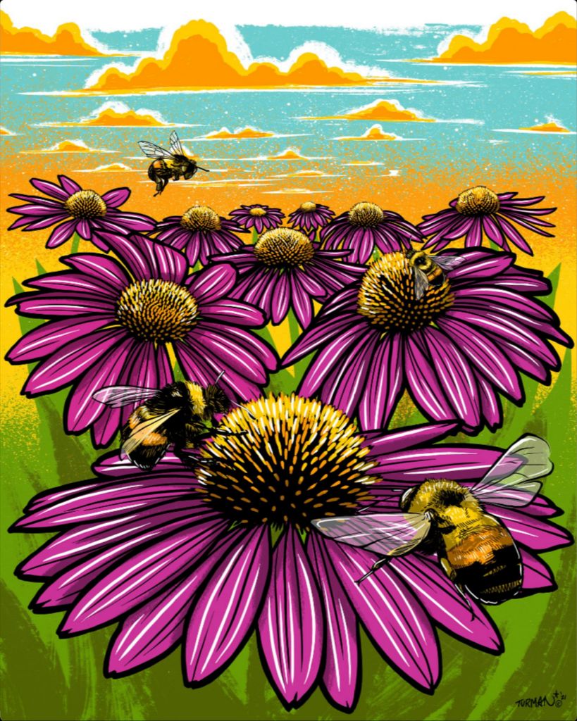 Rusty Patched Bumble Bee