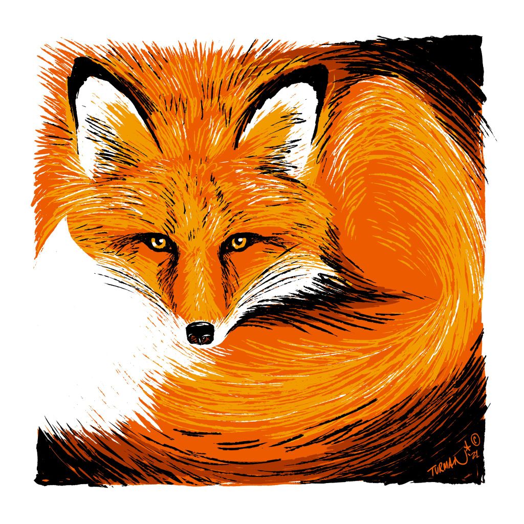 Curly - Red Fox - Original Screen Print