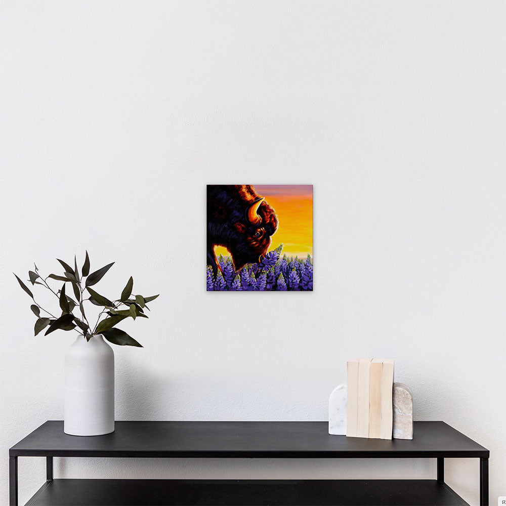 Midwestern Rhinoceros - Buffalo and Lupine