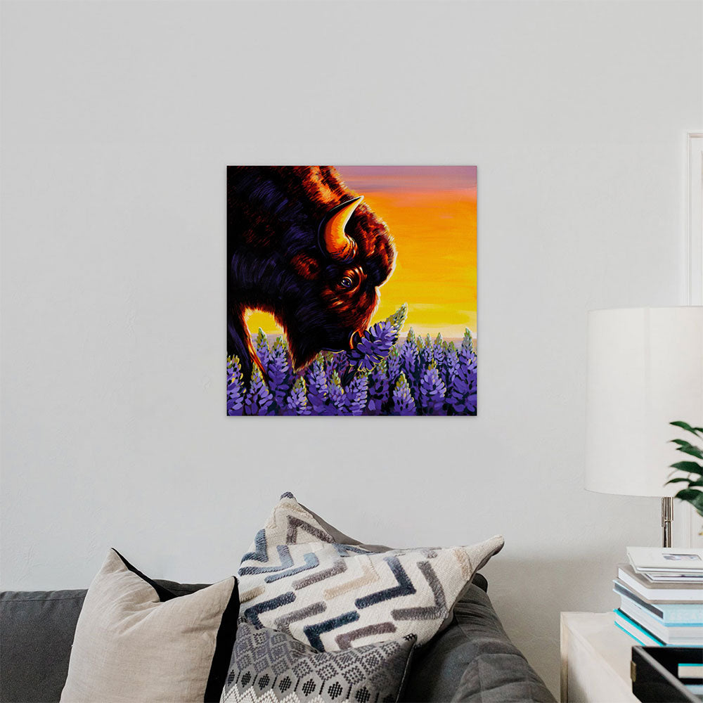 Midwestern Rhinoceros - Buffalo and Lupine