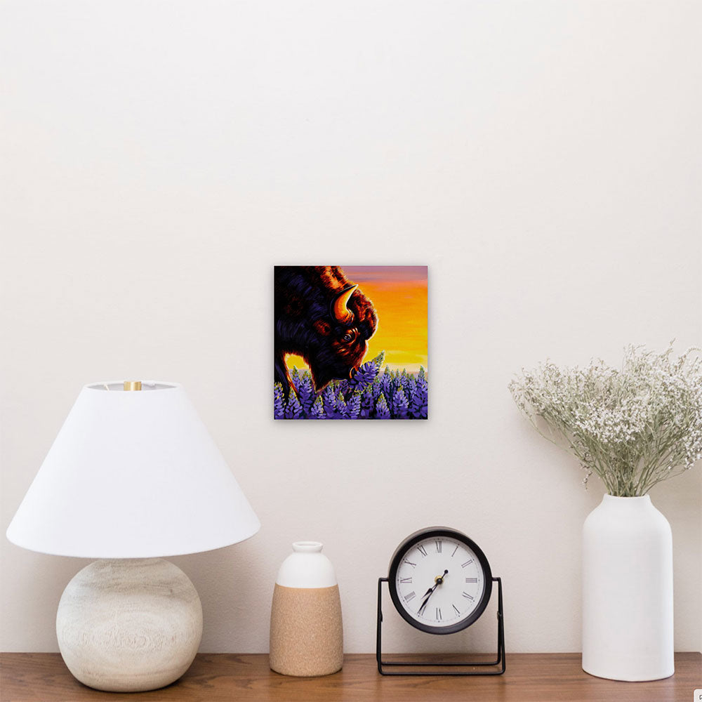 Midwestern Rhinoceros - Buffalo and Lupine