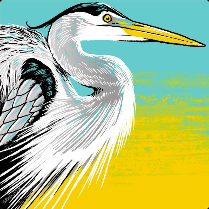 Heron
