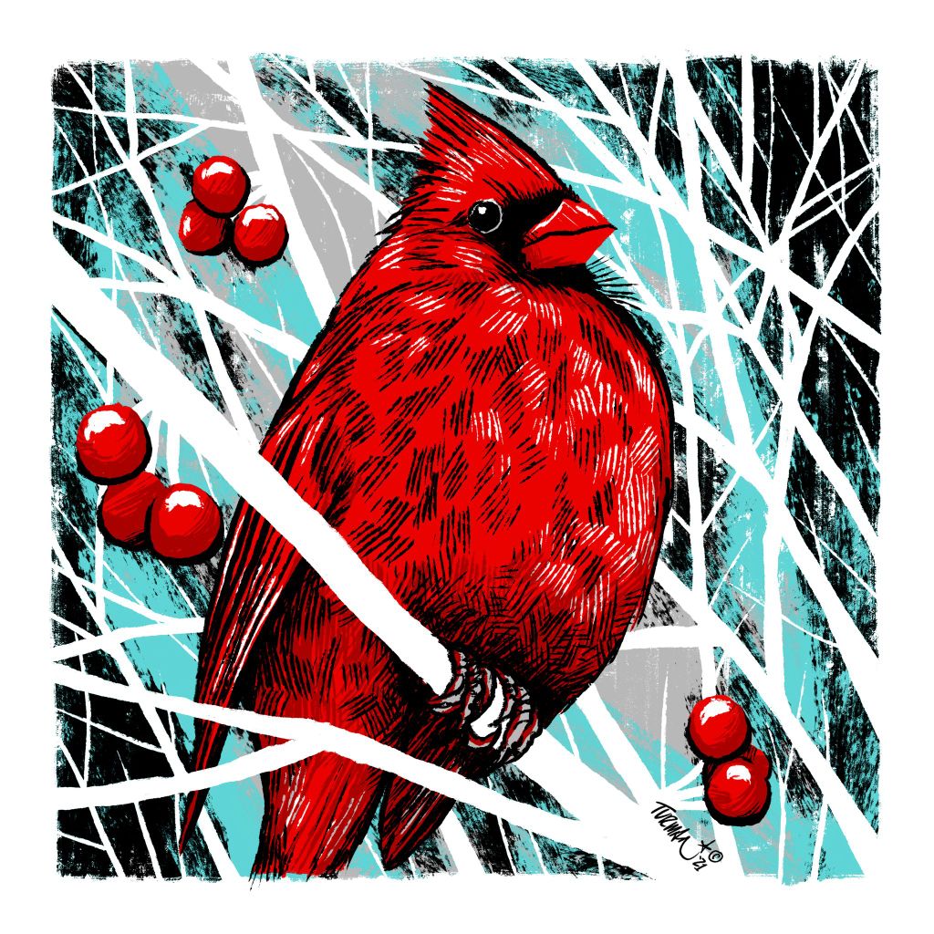 Red - Cardinal
