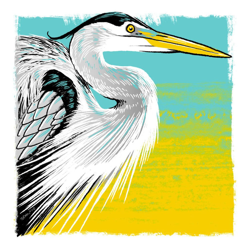 Heron
