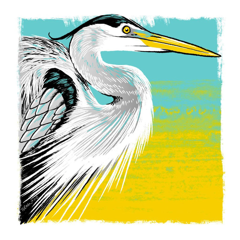 Heron