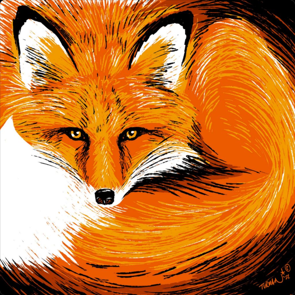 Curly - Red Fox - Original Screen Print