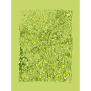 Dandelions