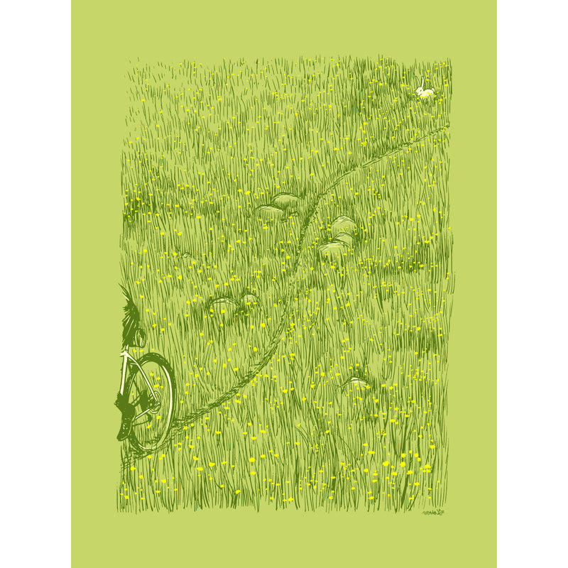Dandelions