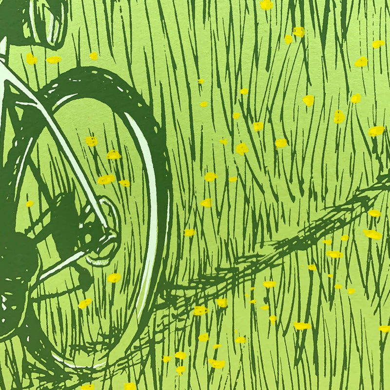 Dandelions