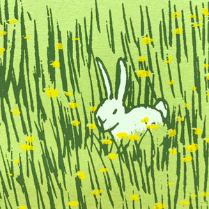 Dandelions