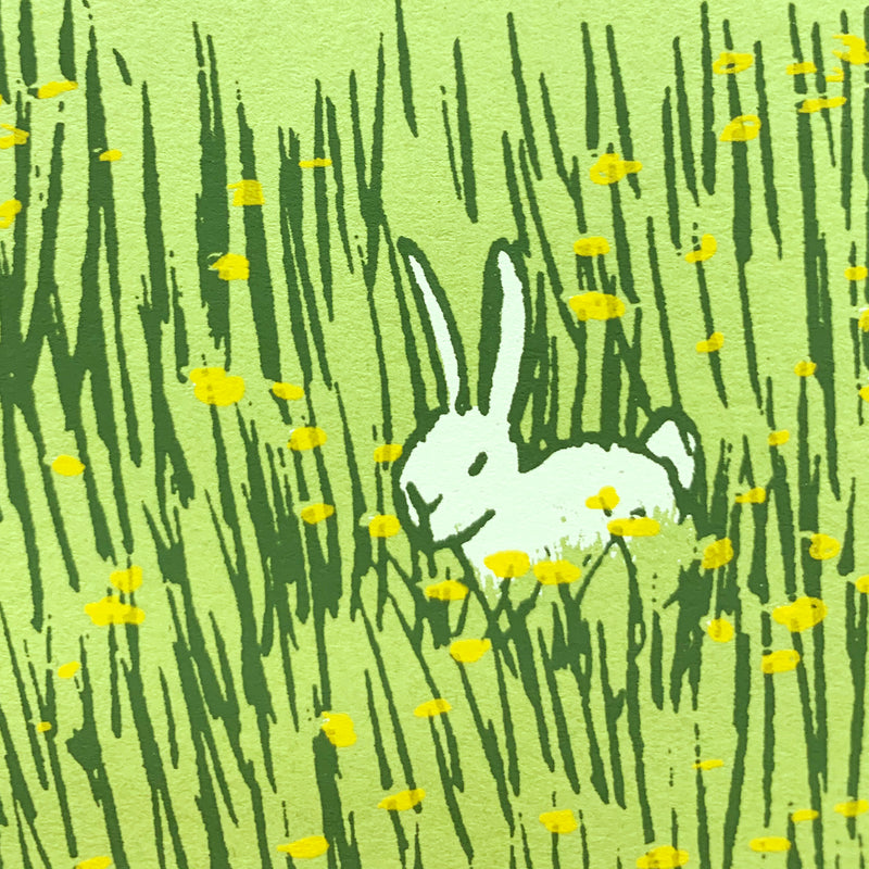 Dandelions