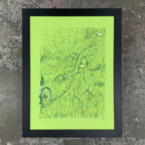 Dandelions
