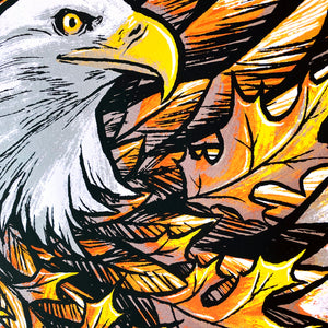 Feathers
