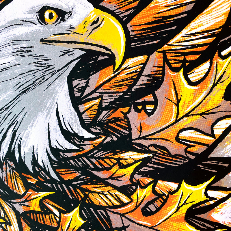 Feathers