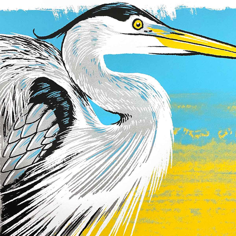 Great Blue