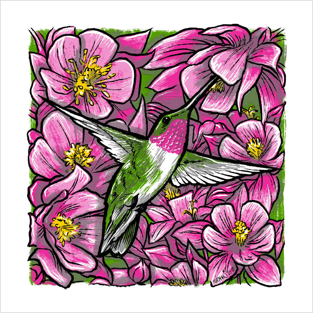Ruby-Throated Hummingbird Screen Print "Hover" by Adam Turman