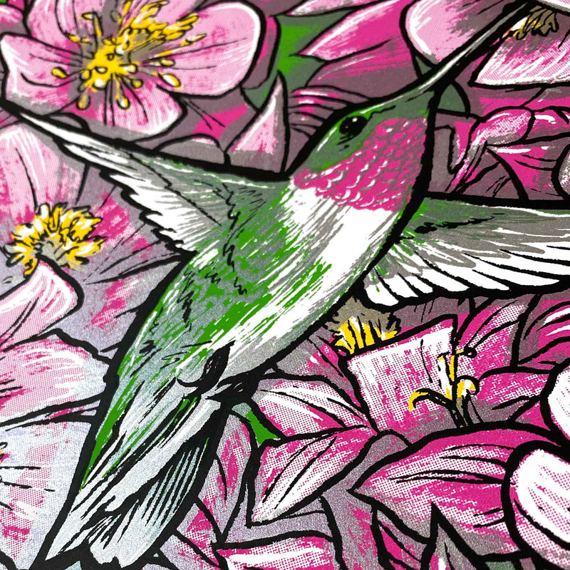 Ruby-Throated Hummingbird Screen Print "Hover" by Adam Turman
