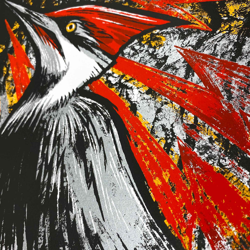 Pileated Woodpecker Screen Print "Knock-Knock" by Adam Turman