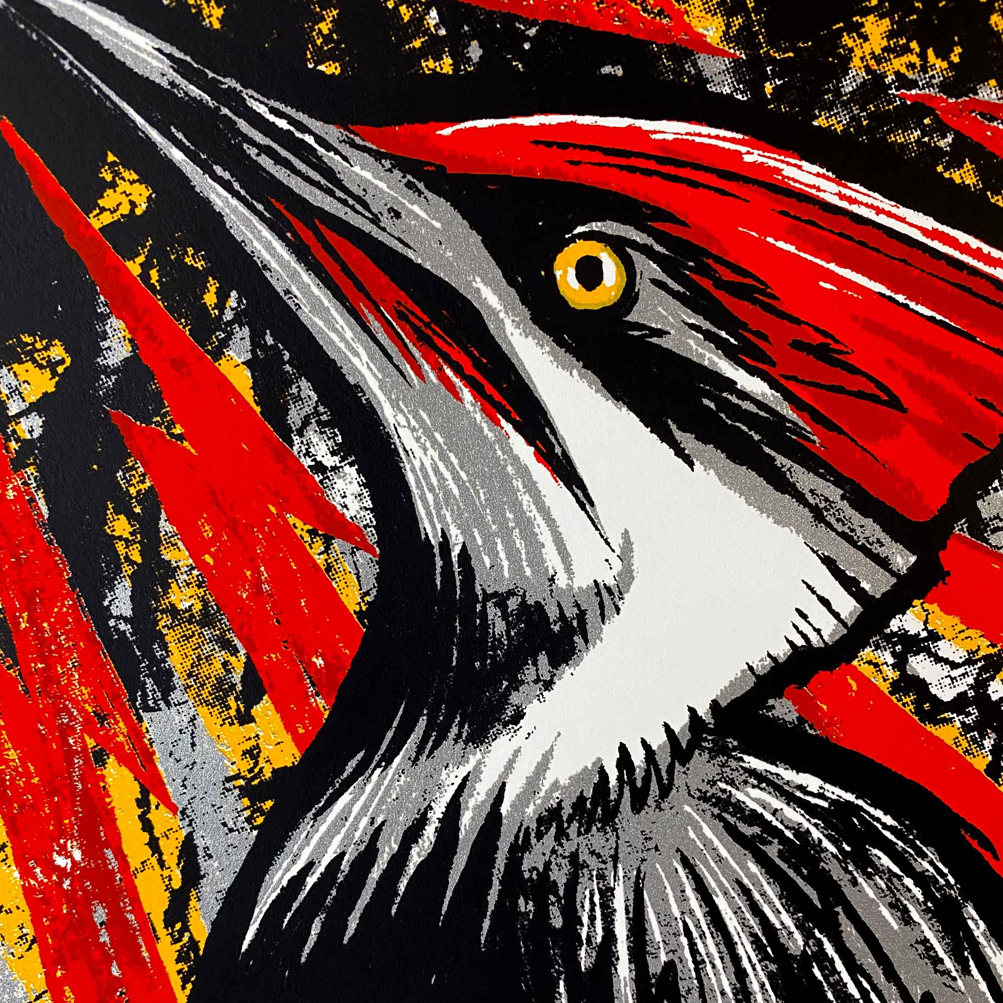 Pileated Woodpecker Screen Print "Knock-Knock" by Adam Turman