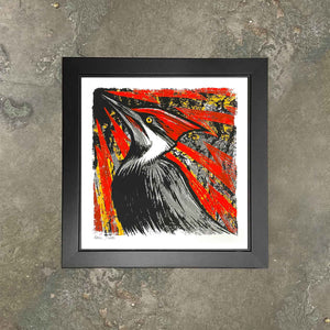 Pileated Woodpecker Screen Print "Knock-Knock" Framed by Adam Turman