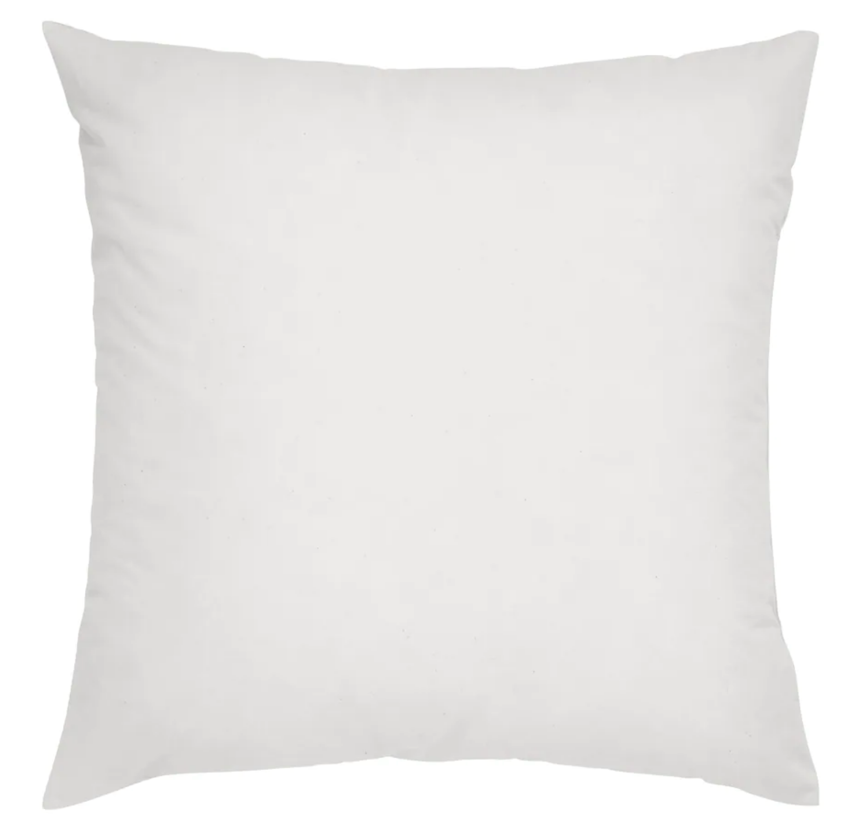 Nature artwork BWCA pillow case 