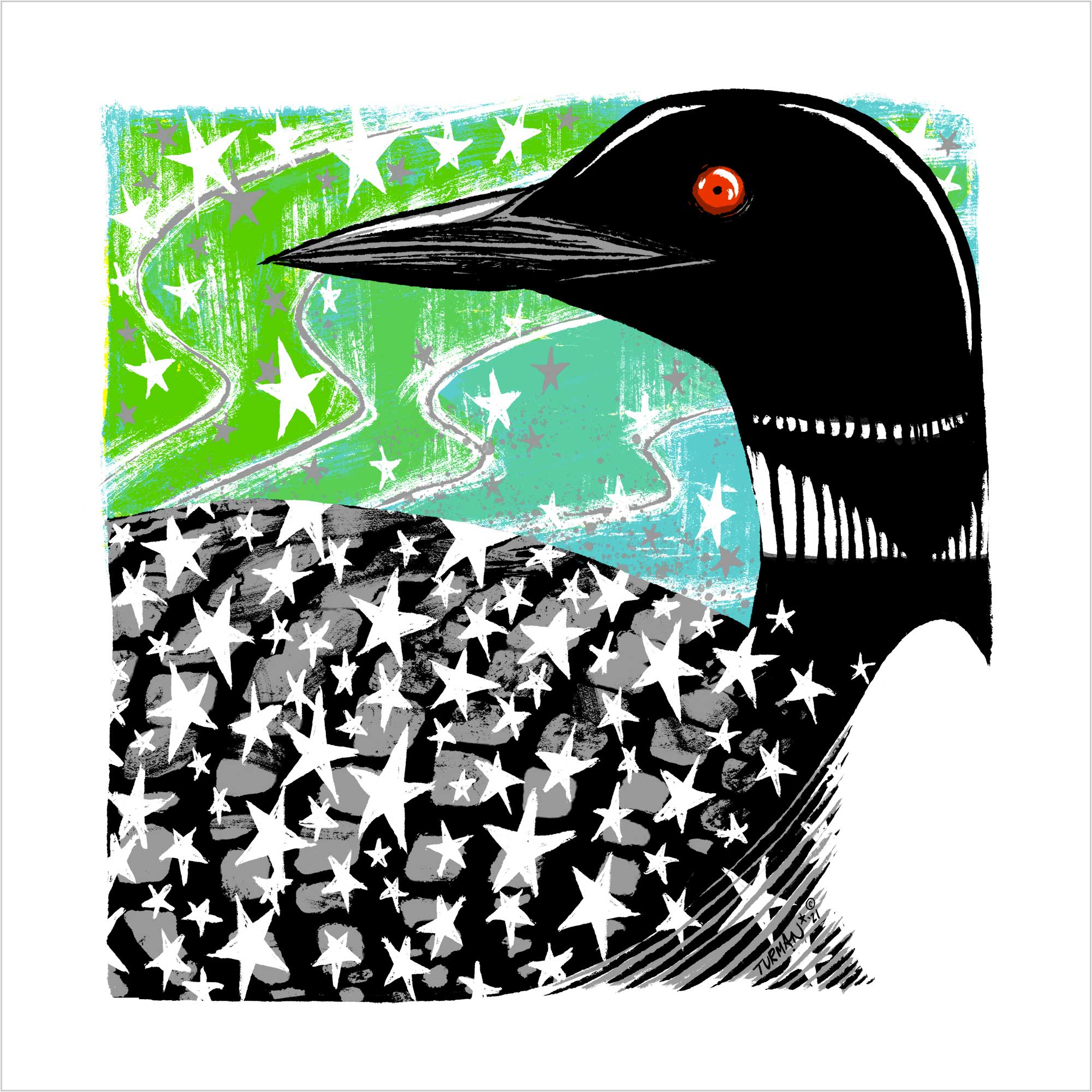 The Loon and Northern Lights, Minnesota's two favorite things.