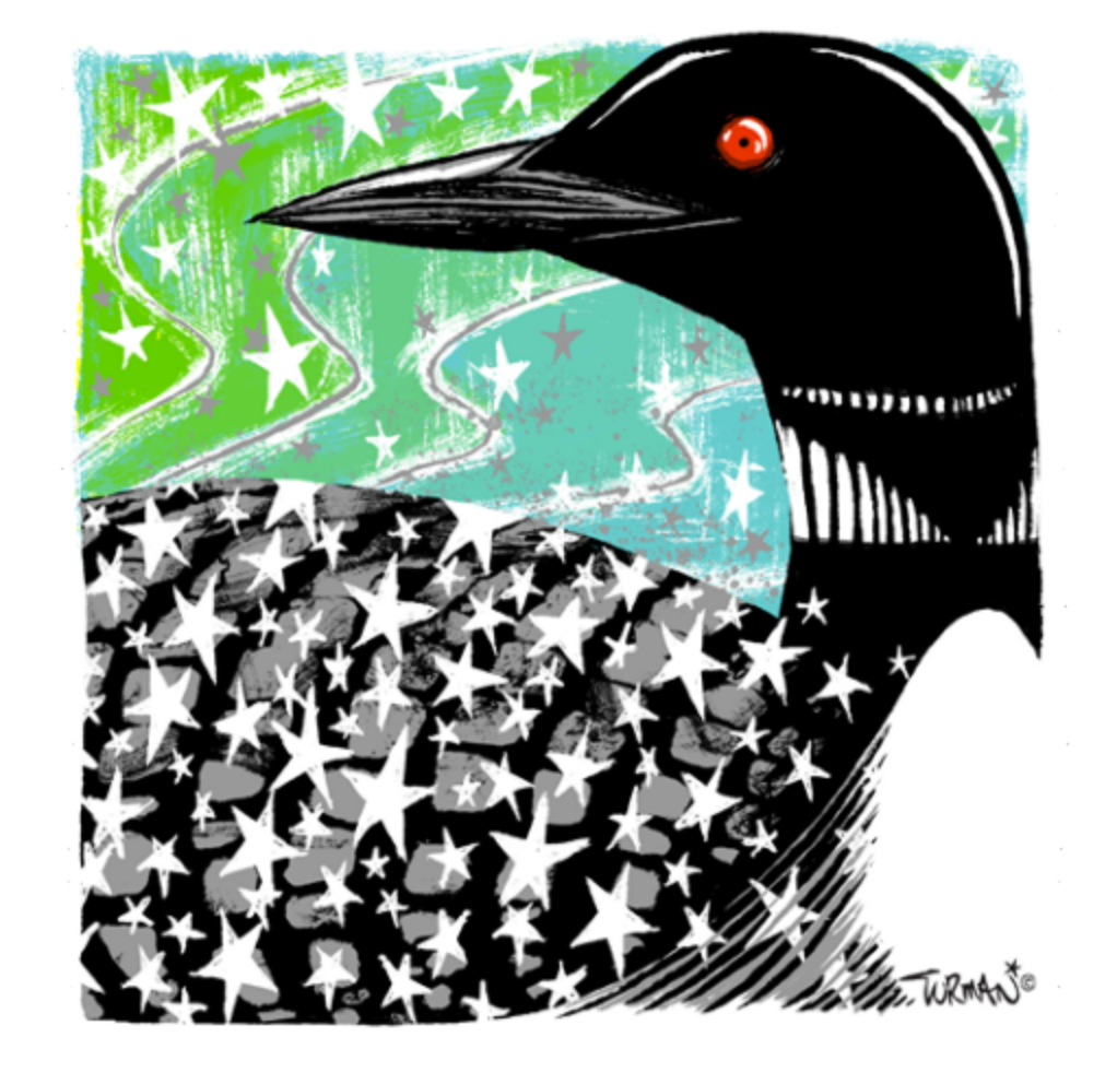 Northern Lites Loon Sticker