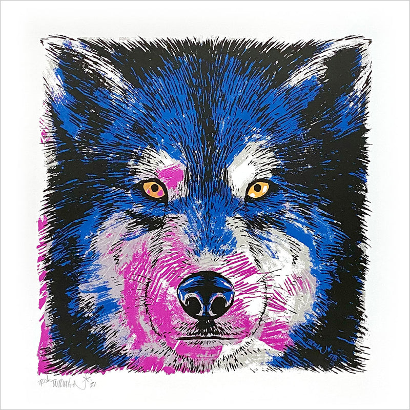 Staring Contest (Wolf) with Pink