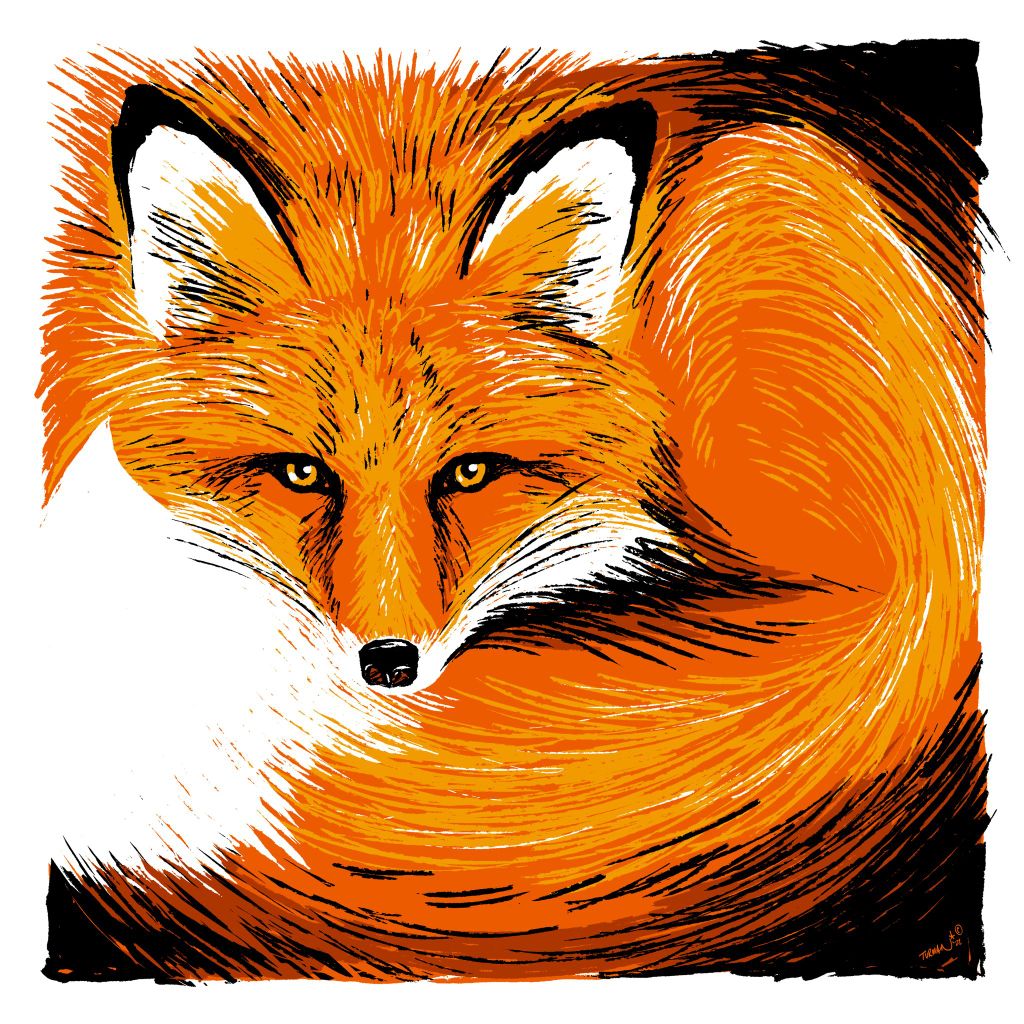 Curly - Red Fox - Original Screen Print